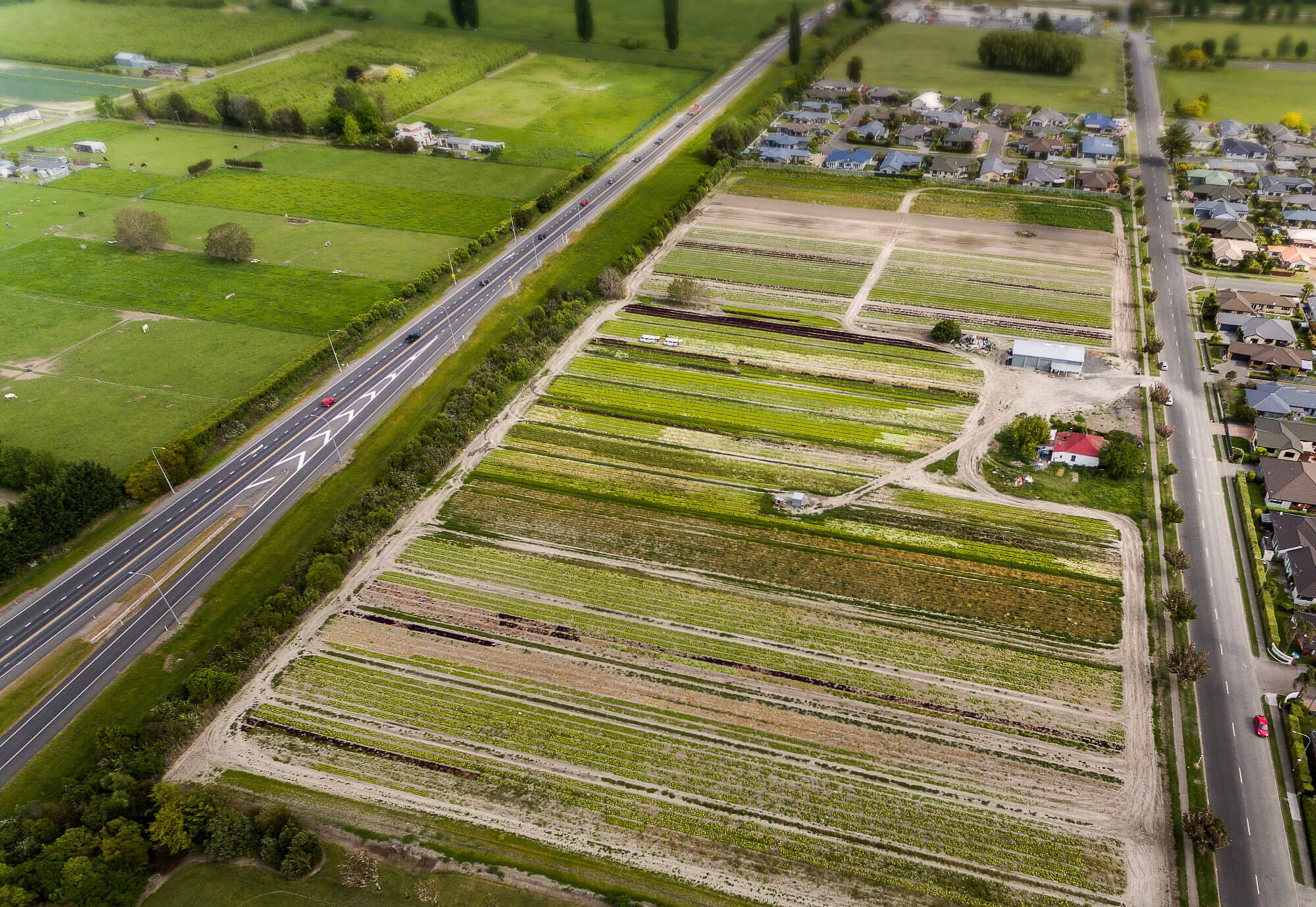 Innovative Property Solutions NZ