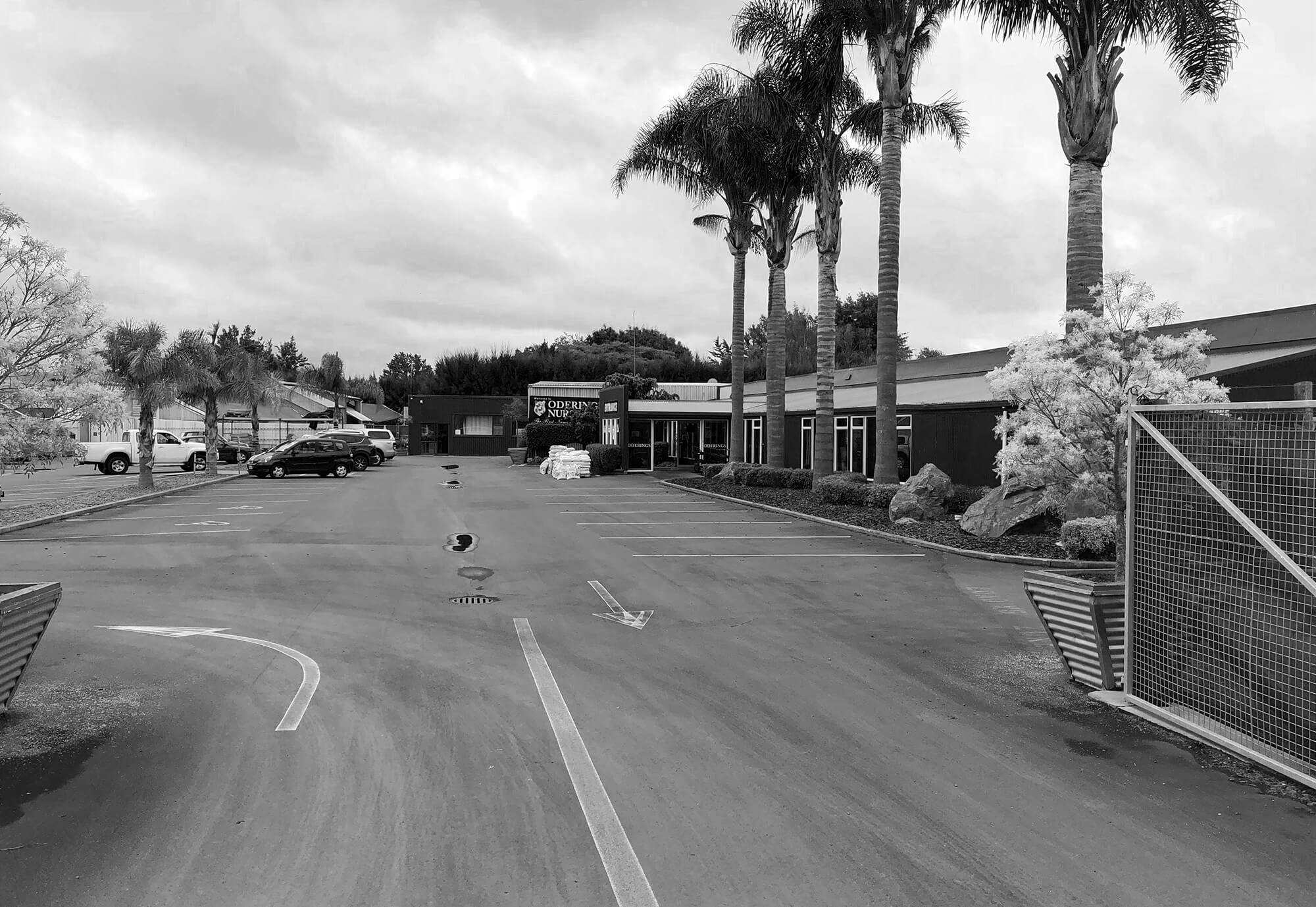 Property management NZ